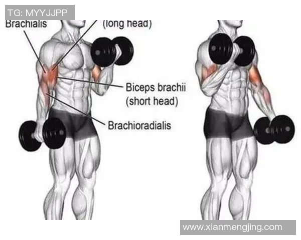 哑铃弯举的正确姿势与技巧详解图解助你塑造完美手臂肌肉