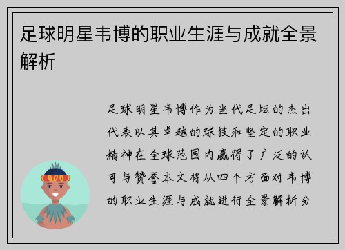 足球明星韦博的职业生涯与成就全景解析
